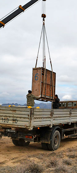 Translocation de kulans au Kazakhstan