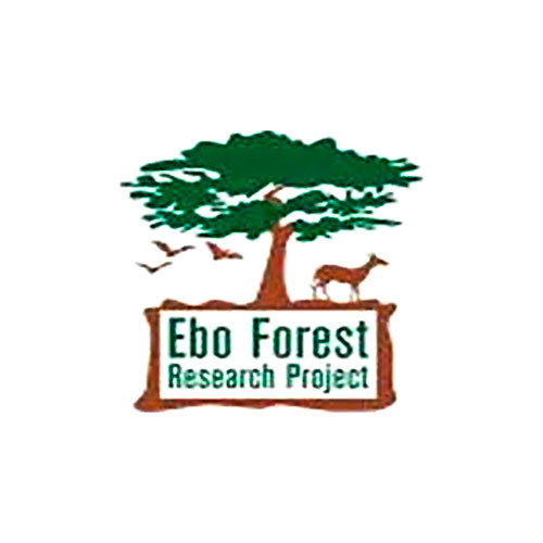 Ebo Forest Research Project Logo