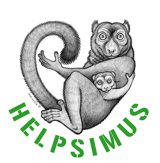 Logo Helpsimus