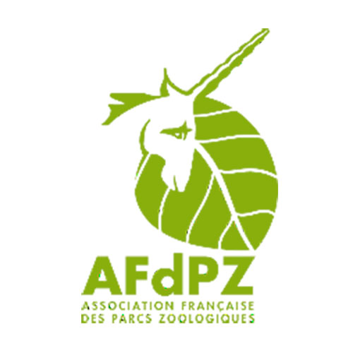 Logo AFDPZ