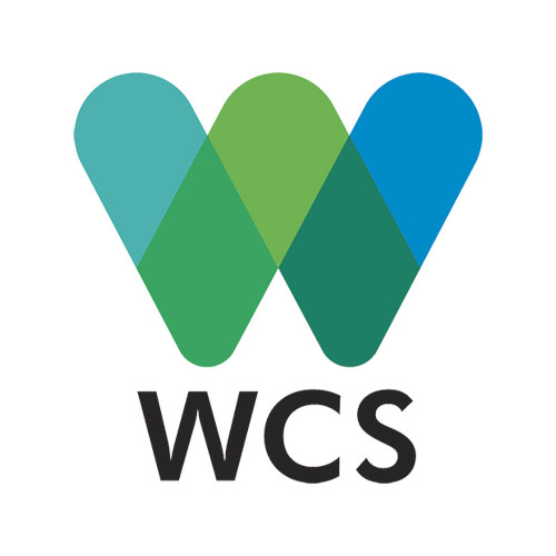 Logo WCS