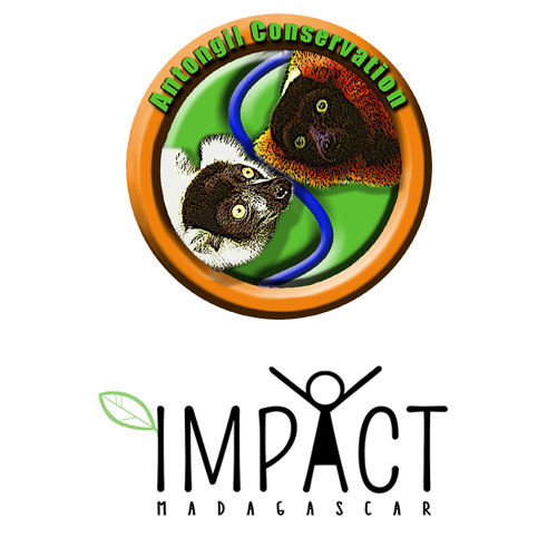 Logos Antongil Conservation IMPACT Madagascar