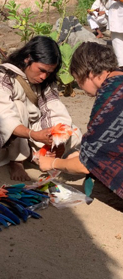 Remise officielle des plumes du Zoo de La Palmyre aux Kogis de Colombie