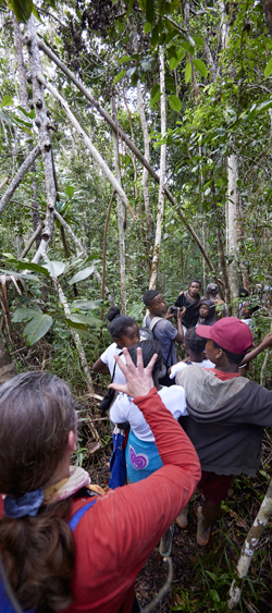 Classe verte sur le site de conservation d'Helpsimus