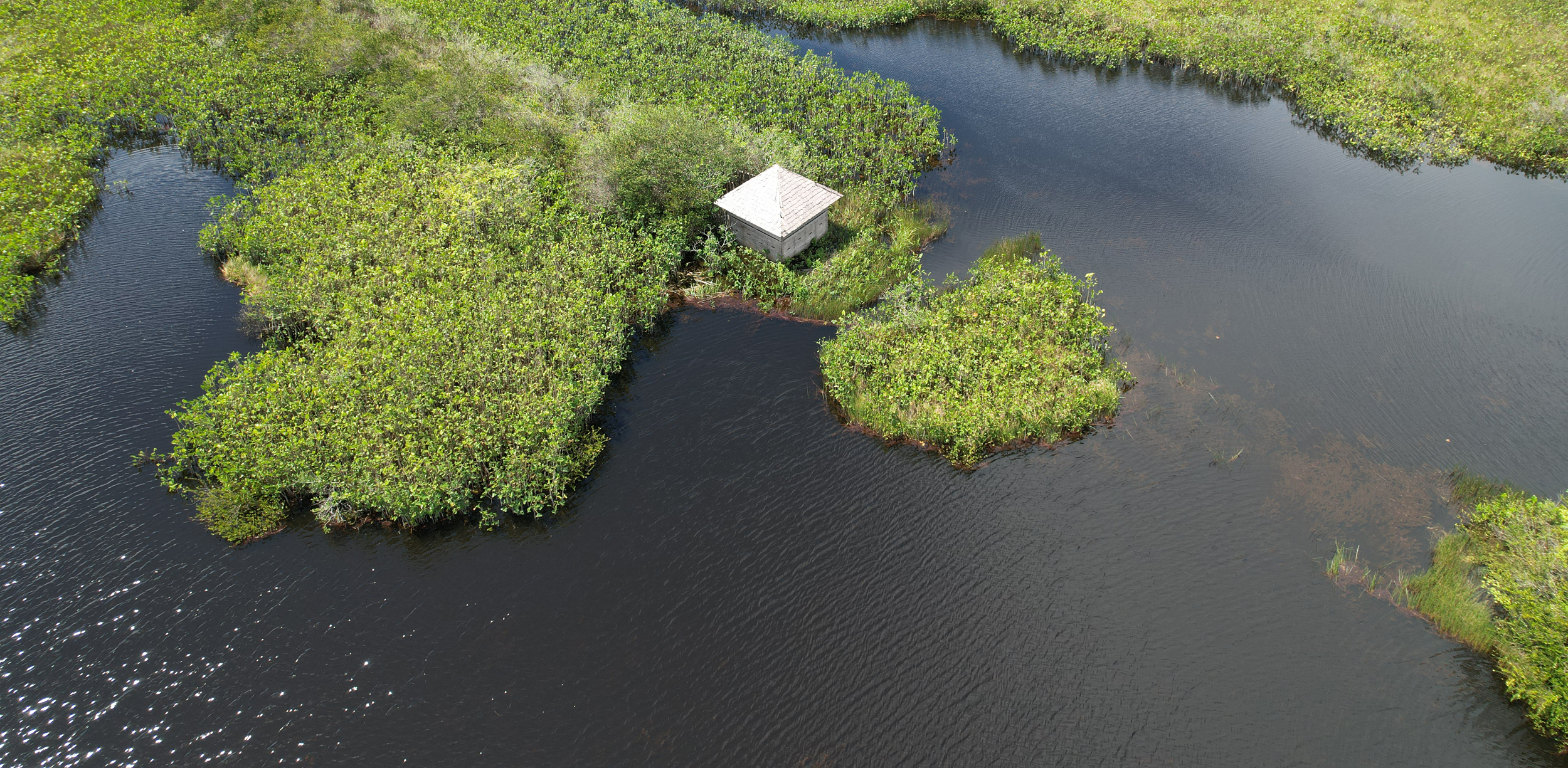 Zone humide des Pripris de Yiyi en Guyane - Photo Charles Bergère Mairie de Sinnamary