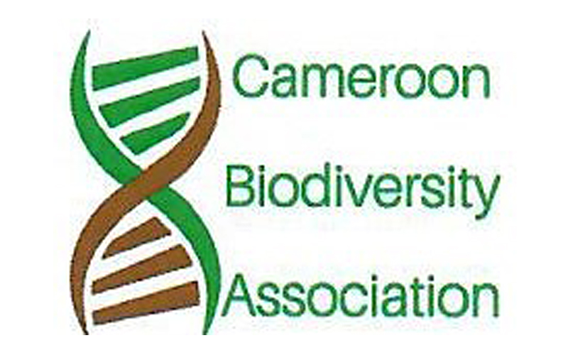 Logo CAMBIO